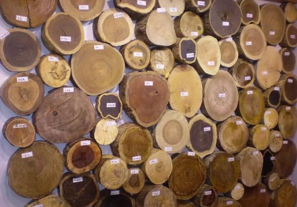 李凯夫专栏 | 论木材对室内居住环境的影响——木材室内居住的视觉